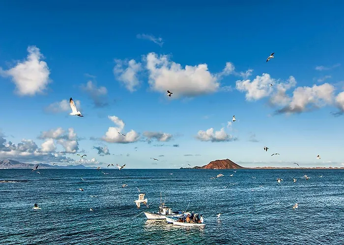 Little Paradise Lejlighed