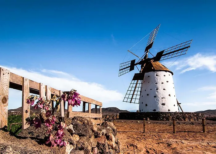 Little Paradise Lejlighed