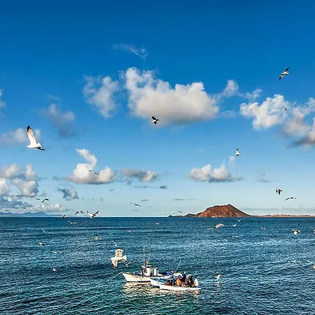 Little Paradise Apartment