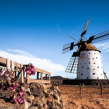 Little Paradise شقة